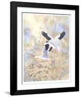 Snow Geese Landing-Chris Forrest-Framed Limited Edition