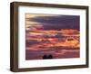 Snow geese silhouetted at Freezeout Lake Wildlife Management Area near Choteau, Montana, USA-Chuck Haney-Framed Photographic Print