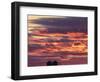 Snow geese silhouetted at Freezeout Lake Wildlife Management Area near Choteau, Montana, USA-Chuck Haney-Framed Photographic Print