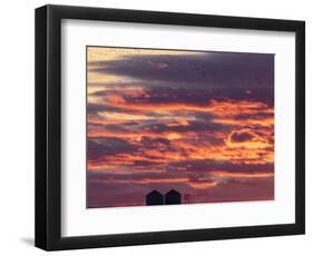 Snow geese silhouetted at Freezeout Lake Wildlife Management Area near Choteau, Montana, USA-Chuck Haney-Framed Photographic Print