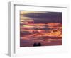 Snow geese silhouetted at Freezeout Lake Wildlife Management Area near Choteau, Montana, USA-Chuck Haney-Framed Photographic Print