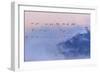 Snow Geese-Austin Li-Framed Photographic Print