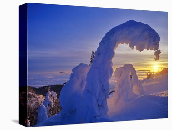 Snow ghosts at sunset on Big Mountain in the Whitefish Range in Whitefish, Montana, USA-Chuck Haney-Stretched Canvas