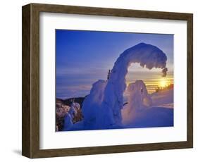 Snow ghosts at sunset on Big Mountain in the Whitefish Range in Whitefish, Montana, USA-Chuck Haney-Framed Photographic Print