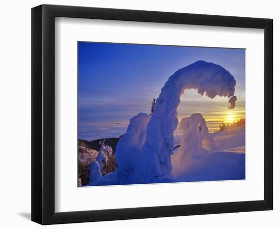 Snow ghosts at sunset on Big Mountain in the Whitefish Range in Whitefish, Montana, USA-Chuck Haney-Framed Photographic Print