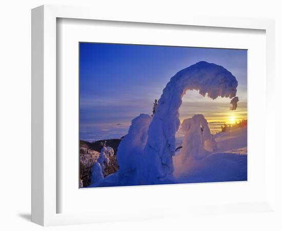 Snow ghosts at sunset on Big Mountain in the Whitefish Range in Whitefish, Montana, USA-Chuck Haney-Framed Photographic Print