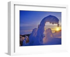 Snow ghosts at sunset on Big Mountain in the Whitefish Range in Whitefish, Montana, USA-Chuck Haney-Framed Photographic Print