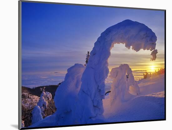 Snow ghosts at sunset on Big Mountain in the Whitefish Range in Whitefish, Montana, USA-Chuck Haney-Mounted Photographic Print