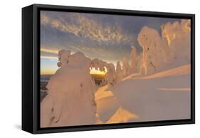 Snow Ghosts in the Whitefish Range, Montana, USA-Chuck Haney-Framed Stretched Canvas