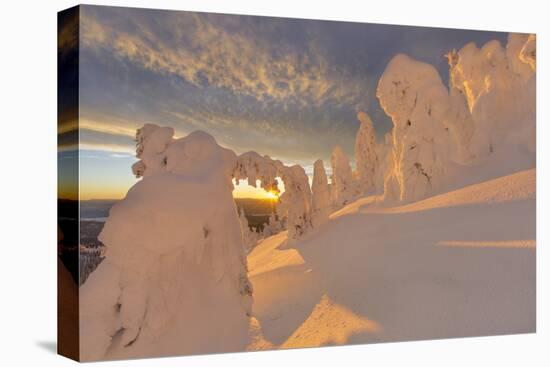 Snow Ghosts in the Whitefish Range, Montana, USA-Chuck Haney-Stretched Canvas