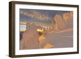 Snow Ghosts in the Whitefish Range, Montana, USA-Chuck Haney-Framed Photographic Print