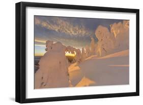 Snow Ghosts in the Whitefish Range, Montana, USA-Chuck Haney-Framed Photographic Print