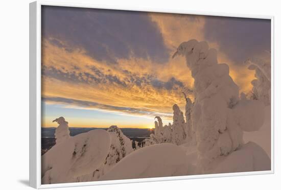 Snow Ghosts in the Whitefish Range, Montana, USA-Chuck Haney-Framed Photographic Print