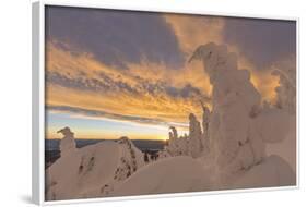 Snow Ghosts in the Whitefish Range, Montana, USA-Chuck Haney-Framed Photographic Print