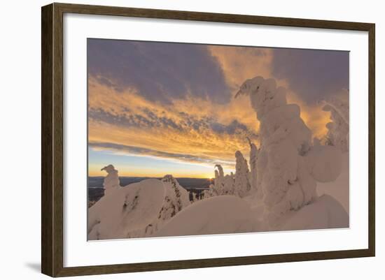 Snow Ghosts in the Whitefish Range, Montana, USA-Chuck Haney-Framed Photographic Print