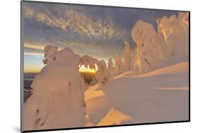 Snow Ghosts in the Whitefish Range, Montana, USA-Chuck Haney-Mounted Photographic Print