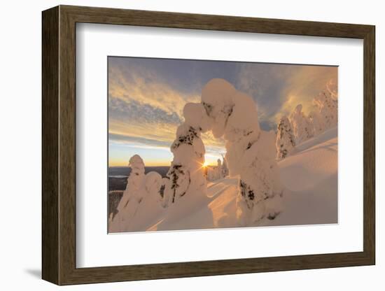 Snow Ghosts in the Whitefish Range, Montana, USA-Chuck Haney-Framed Photographic Print