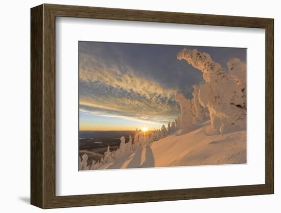 Snow ghosts in the Whitefish Range near Whitefish, Montana, USA.-Chuck Haney-Framed Photographic Print