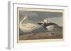 Snow goose, 1837-John James Audubon-Framed Premium Giclee Print