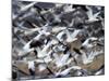 Snow Goose, Anser Caerulescens, Bosque Del Apache, Soccoro, New Mexico, USA-Thorsten Milse-Mounted Photographic Print