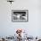 Snow Goose, Bosque Del Apache National Wildlife Refuge, New Mexico-Paul Souders-Framed Photographic Print displayed on a wall