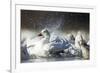 Snow Goose, Bosque Del Apache National Wildlife Refuge, New Mexico-Paul Souders-Framed Photographic Print