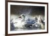 Snow Goose, Bosque Del Apache National Wildlife Refuge, New Mexico-Paul Souders-Framed Photographic Print