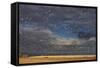 Snow Goose (Chen caerulescens) flock, in flight, Bosque del Apache-Mark Sisson-Framed Stretched Canvas