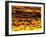 Snow Goose Flock at Dawn after a Blast Off, Bosque Del Apache National Wildlife Refuge-James Hager-Framed Photographic Print