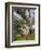 Snow Gum, Kosciuszko National Park, New South Wales, Australia, Pacific-Schlenker Jochen-Framed Photographic Print