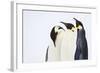 Snow Hill, Antarctica. Three Emperor Penguins. High Key-Janet Muir-Framed Photographic Print