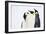 Snow Hill, Antarctica. Three Emperor Penguins. High Key-Janet Muir-Framed Photographic Print