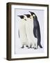 Snow Hill, Antarctica. Three Emperor Penguins Standing Tall-Janet Muir-Framed Photographic Print