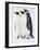 Snow Hill, Antarctica. Three Emperor Penguins Standing Tall-Janet Muir-Framed Photographic Print