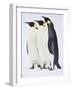Snow Hill, Antarctica. Three Emperor Penguins Standing Tall-Janet Muir-Framed Photographic Print