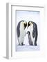 Snow Hill Island, Antarctica. A proud pair of emperor penguins nestling and bonding-Dee Ann Pederson-Framed Photographic Print