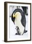 Snow Hill Island, Antarctica. Emperor penguin parent with tiny chick on feet begging.-Dee Ann Pederson-Framed Photographic Print