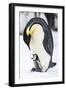 Snow Hill Island, Antarctica. Emperor penguin parent with tiny chick on feet begging.-Dee Ann Pederson-Framed Photographic Print