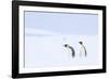 Snow Hill Island, Antarctica. Pair of Emperor penguins traversing the ice shelf during a storm.-Dee Ann Pederson-Framed Photographic Print