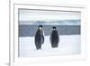 Snow Hill Island, Antarctica. Two adult Emperor penguins have traveled to fish.-Dee Ann Pederson-Framed Photographic Print