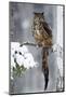 Snow Hunter in the Forest. Big Eurasian Eagle Owl Sitting on Snowy Tree Trunk with Snow, Snowflake-Ondrej Prosicky-Mounted Photographic Print