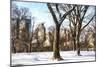 Snow in Central Park II-Philippe Hugonnard-Mounted Giclee Print