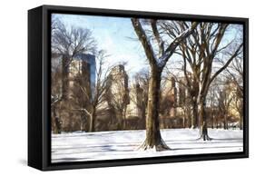 Snow in Central Park II-Philippe Hugonnard-Framed Stretched Canvas