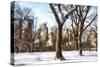 Snow in Central Park II-Philippe Hugonnard-Stretched Canvas