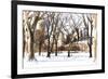 Snow in Central Park III-Philippe Hugonnard-Framed Giclee Print