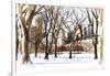 Snow in Central Park III-Philippe Hugonnard-Framed Giclee Print