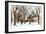 Snow in Central Park III-Philippe Hugonnard-Framed Giclee Print