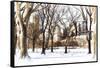 Snow in Central Park III-Philippe Hugonnard-Framed Stretched Canvas