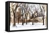 Snow in Central Park III-Philippe Hugonnard-Framed Stretched Canvas