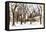 Snow in Central Park III-Philippe Hugonnard-Framed Stretched Canvas
